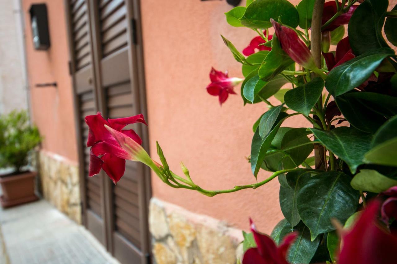 'A Cumerdia - Casa Vacanze Castellammare del Golfo Exterior photo
